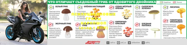 дмт Аркадак