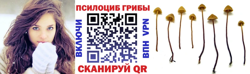 что такое наркотик  Рыбное  Галлюциногенные грибы GOLDEN TEACHER 